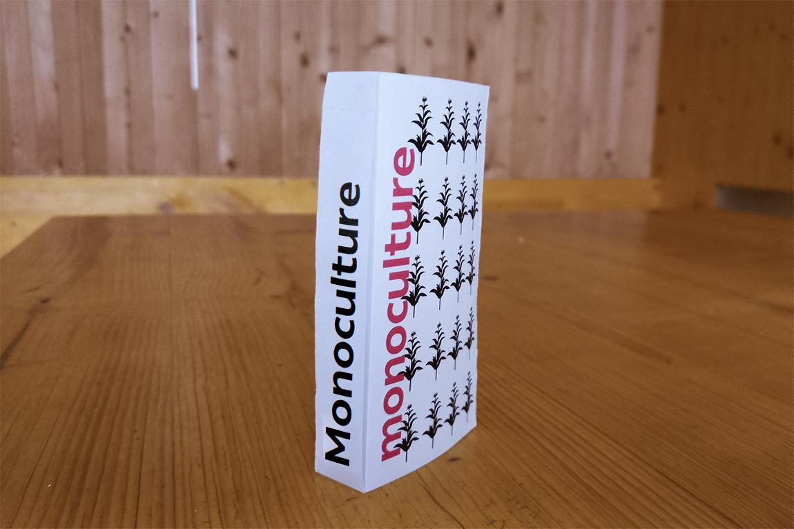 mémoire ouvert présentant la frise chronologique