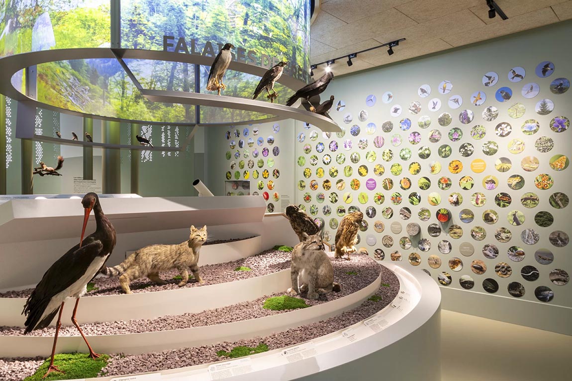 mémoire ouvert présentant une des trois partie avec texte et images en bleu foncé